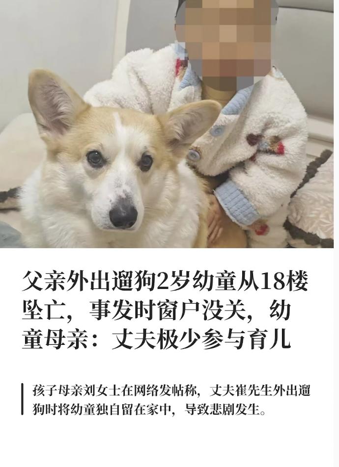 傻眼了！2岁幼童因父亲遛狗被单独留家从18楼坠亡，妻子打三巴掌后，男子反击说：“