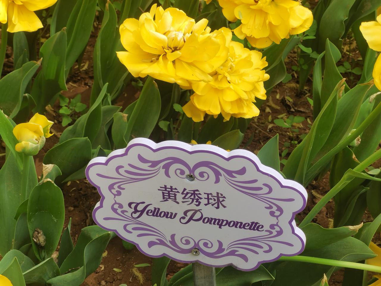 家长应不应该学习志愿填报? 家长应不应该学习志愿填报?我个人建议，无论是找机构填