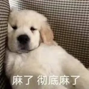 博主理财一个月收益不如余额宝 哈哈哈哈笑抽了，这也太伤人了点，所以还是稳着来吧！
