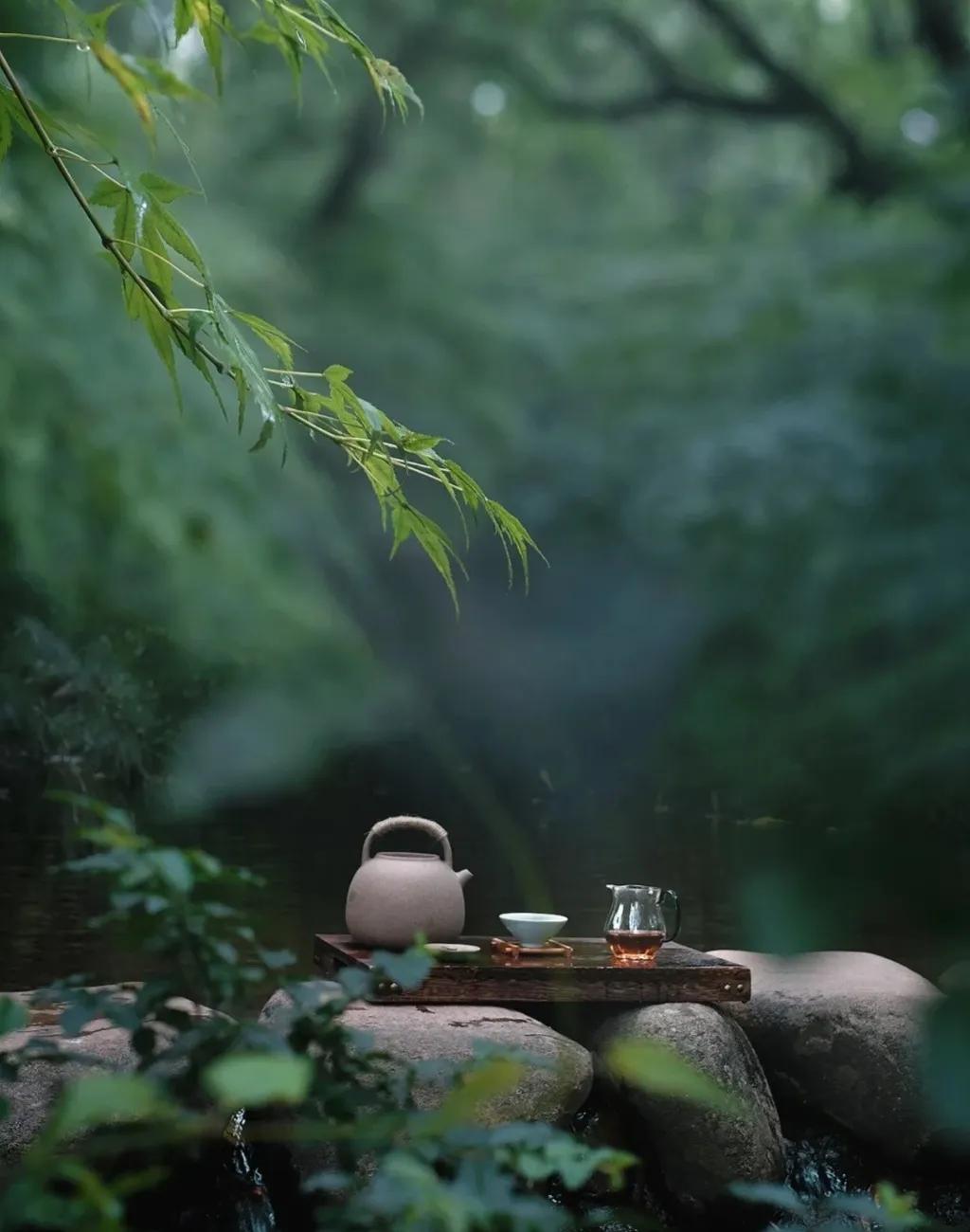 越溪春·静居
文/杨云

莺憩柳荫柴苑静，流絮绕栏杆。
一枰碎影淹河界，小竹风，