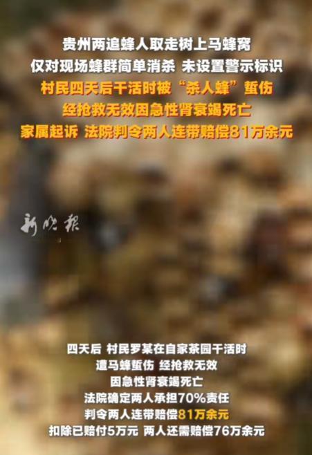 赚小钱却惹上百万赔偿！贵州，两名男子摘马蜂窝赚钱，结果成了被告，要求赔偿116万