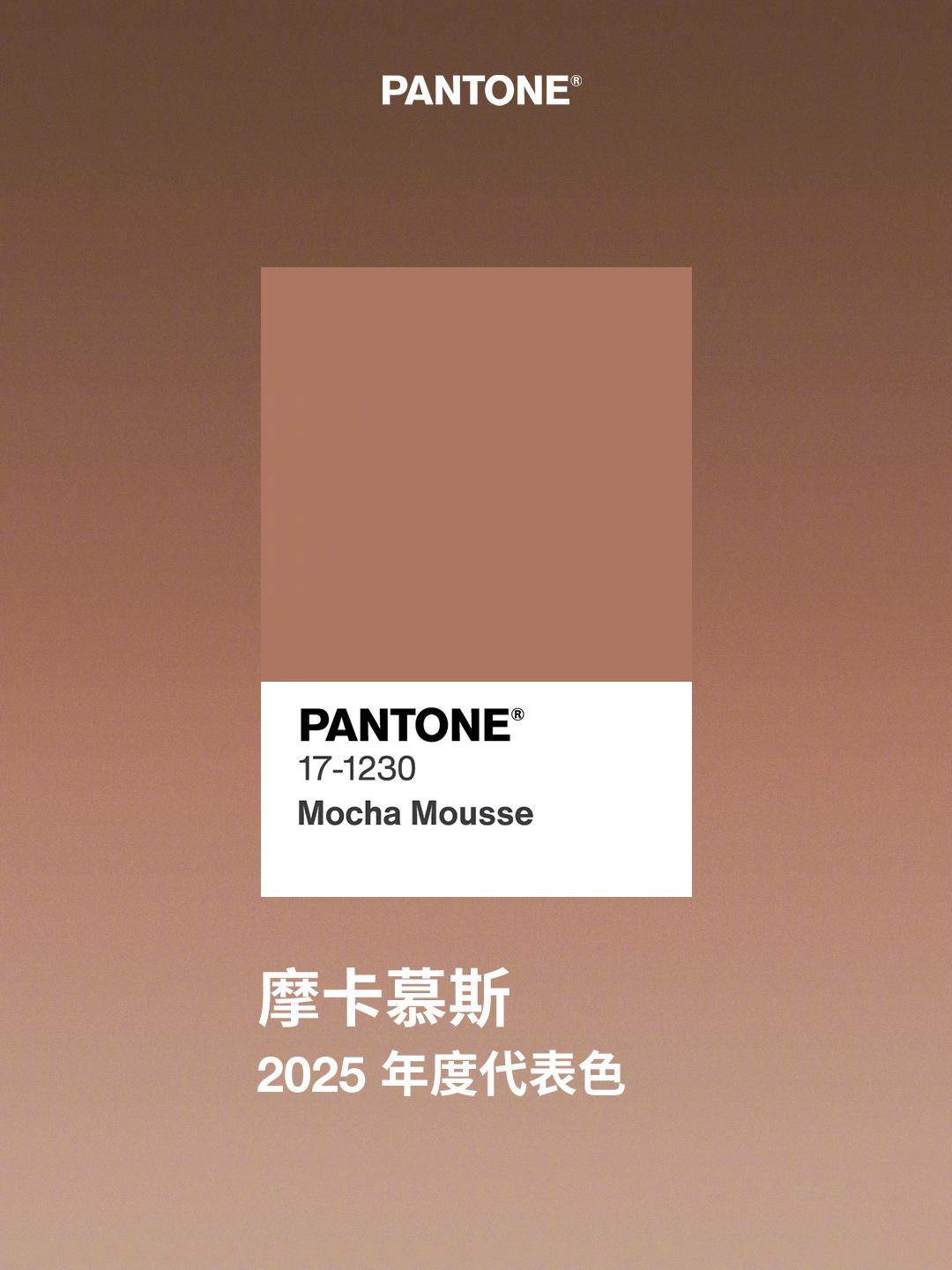 2025年度代表色  色彩研究机构PANTONE发布2025年度代表色：PANT