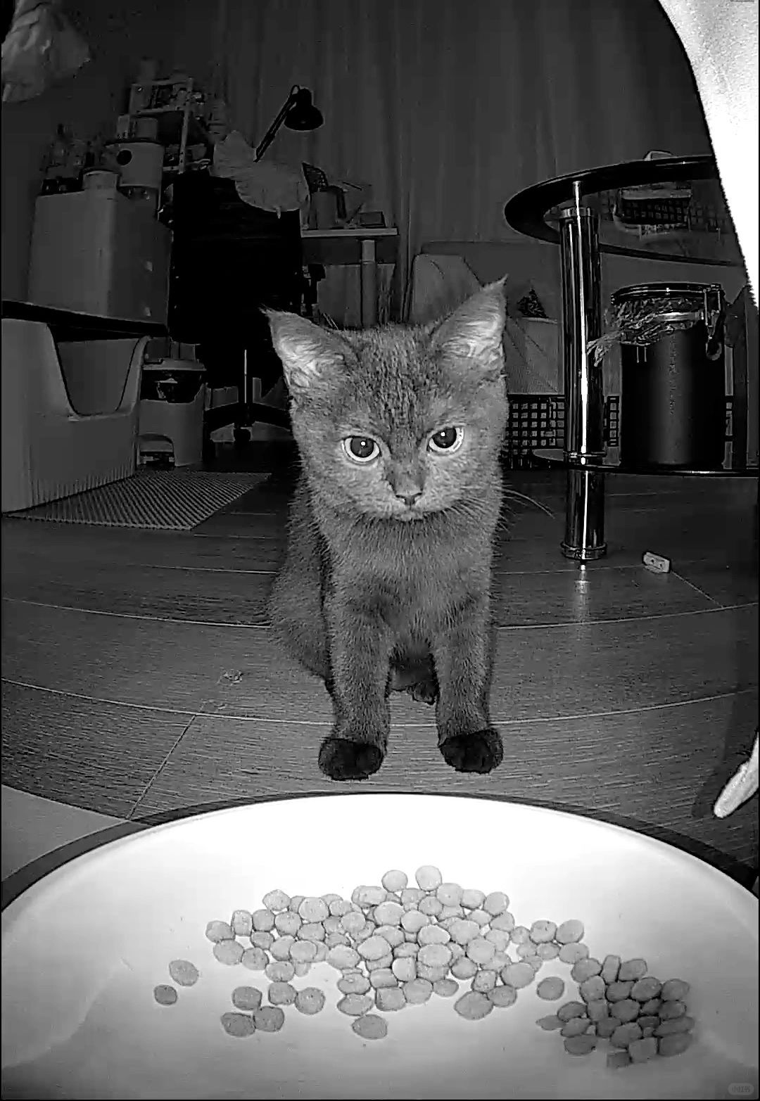 妈妈你想撑死宝宝吗