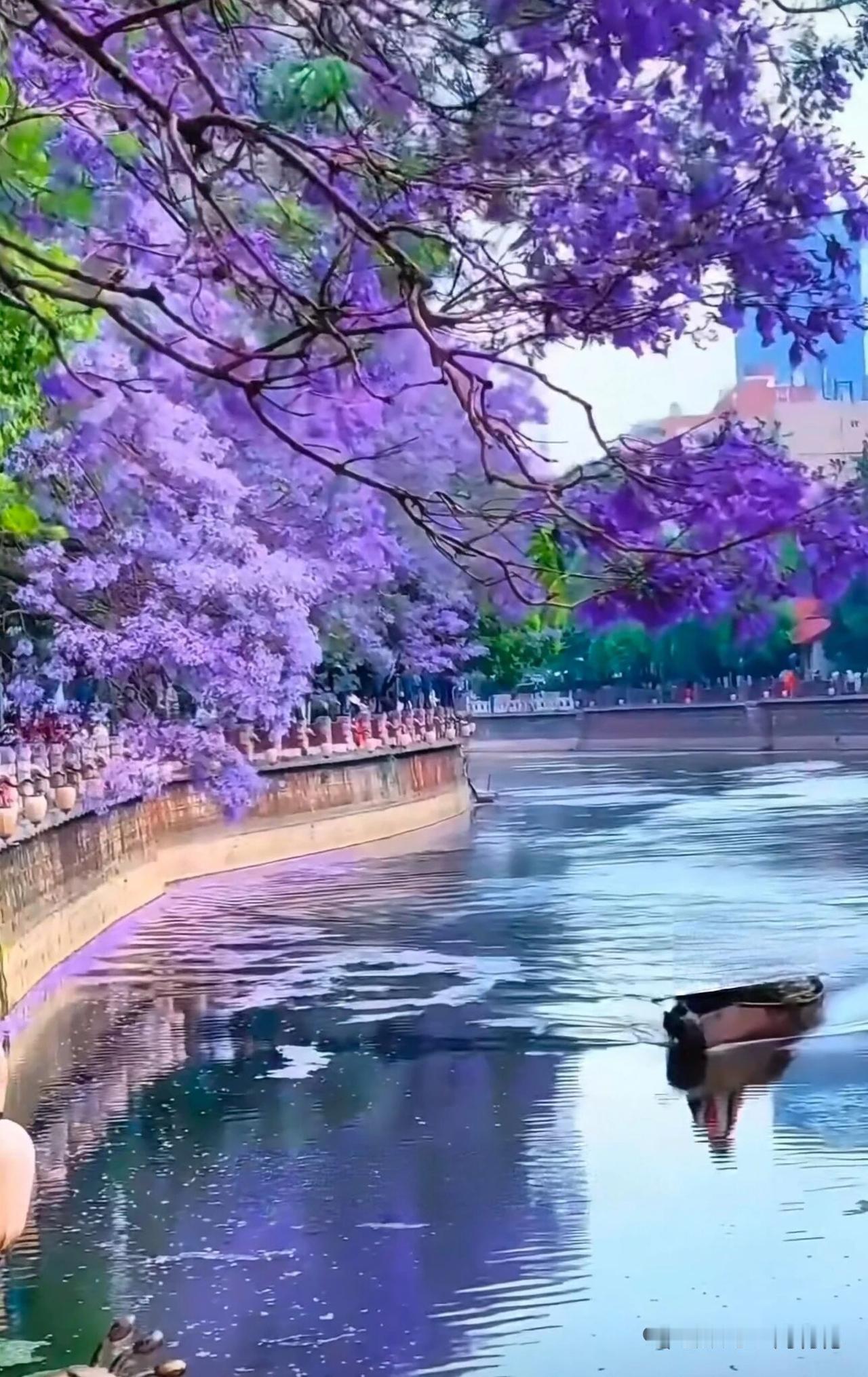 独特美景分享