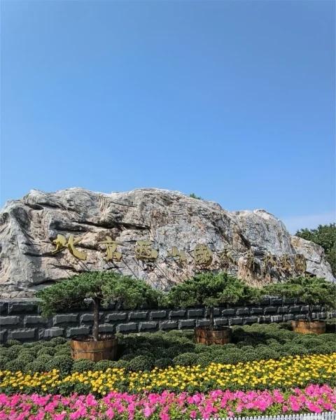 北京周末徒步计划之西山森林公园！
周末刷完西山，全程走得随心所欲却超快乐，超级推