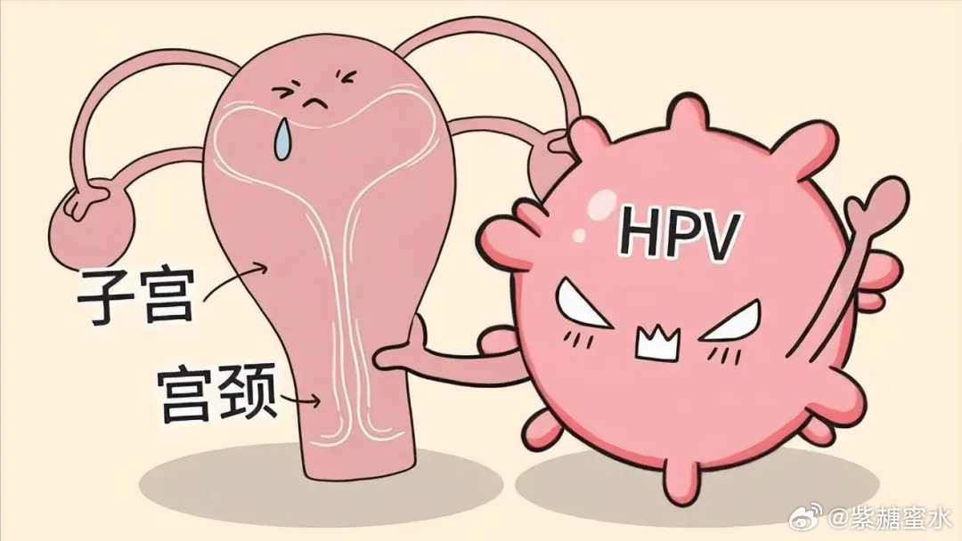 男性HPV感染：病毒传播的“蓄水池”刚看完门诊，问诊提示音让我打开了手机，长长的