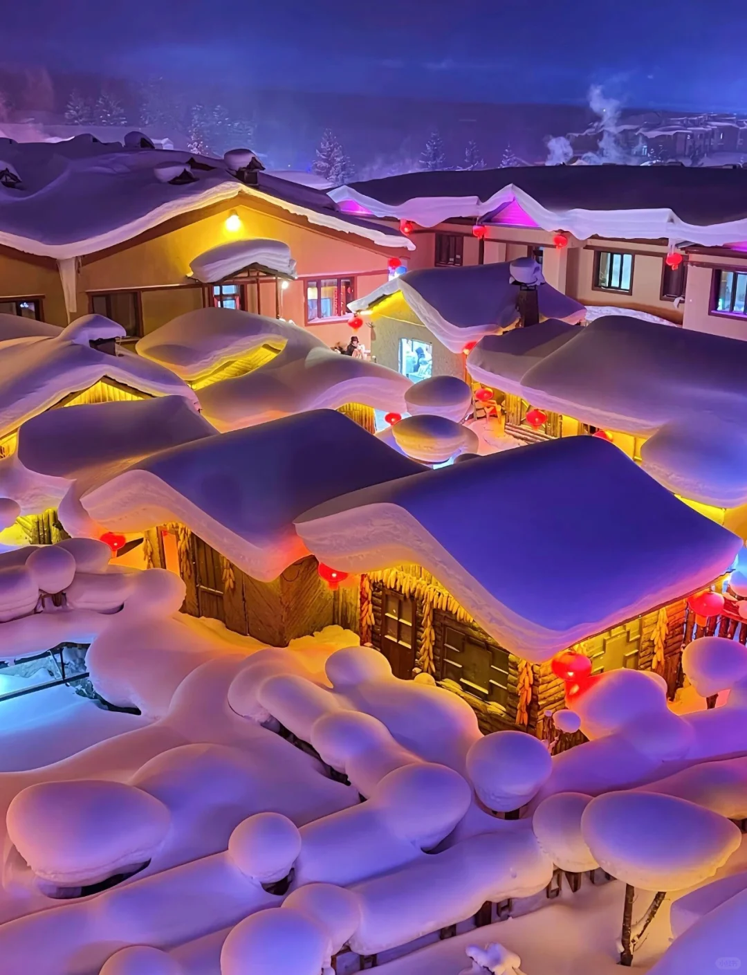 还不知道雪乡怎么玩？🧐看这篇就够了！