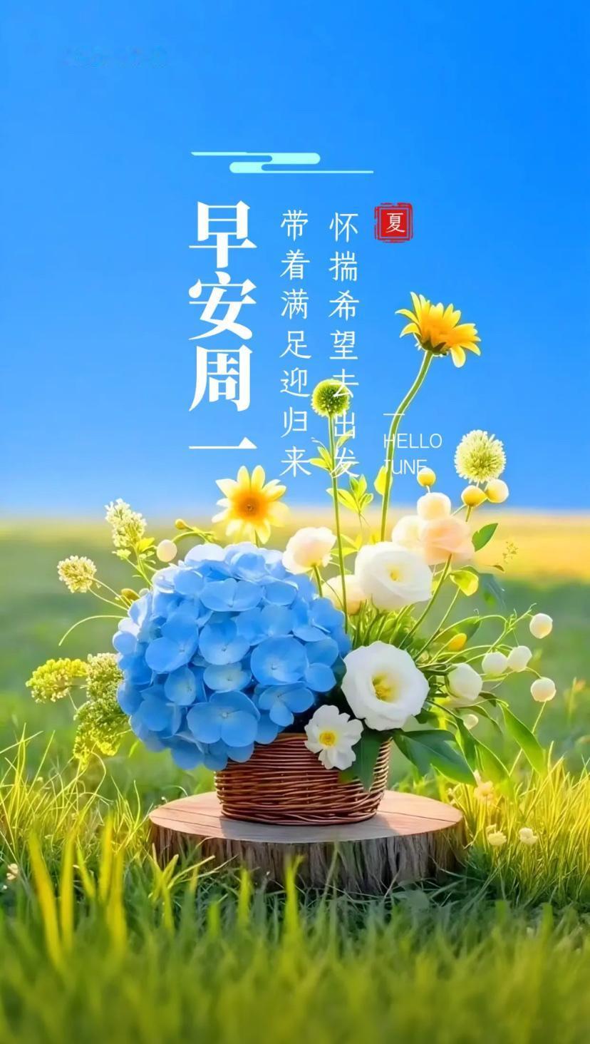 夏晨问安，十里荷香凝雅趣，一生从容纳福长。
2026./06.08.
[微风][