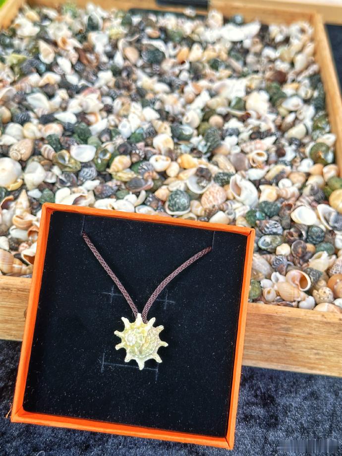 #赵小童送粉丝亲手做的项链##赵小童海马螺太阳项链#赵小童用心雕琢的项链，那海马