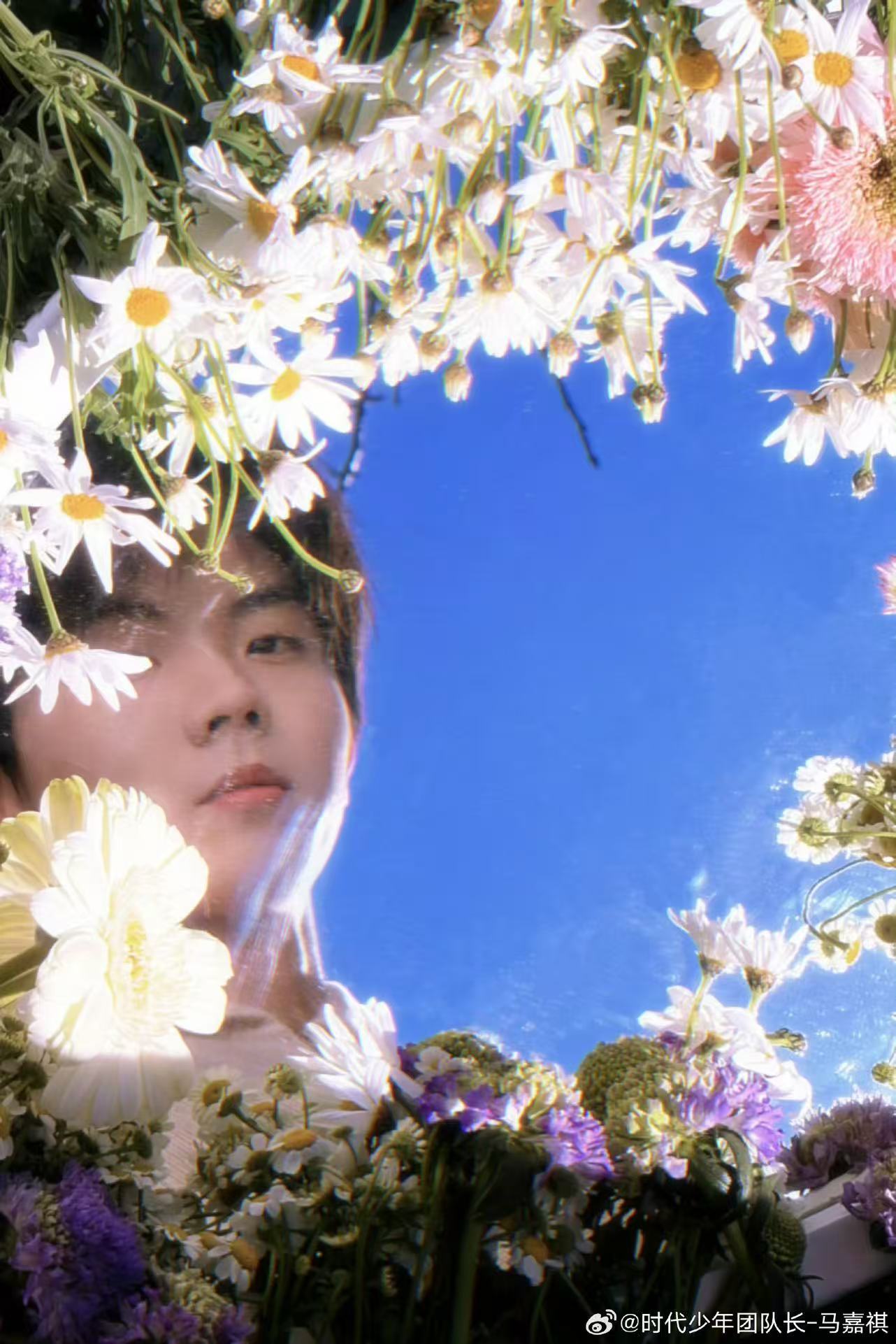 马嘉祺花朵写真花中的马嘉祺马嘉祺花朵写真，哇塞哇塞，