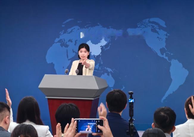 郑丽文说的 "只要台湾没有正式宣布独立，大陆就无权武力侵略台湾，如若大陆采取武统