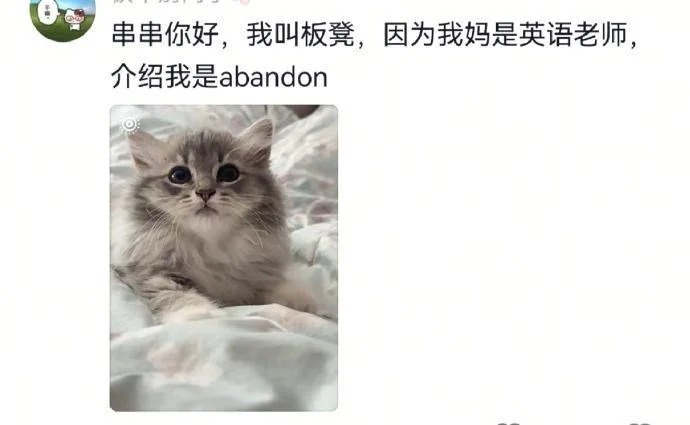 当代年轻人给宠物起名都这么抽象的吗 