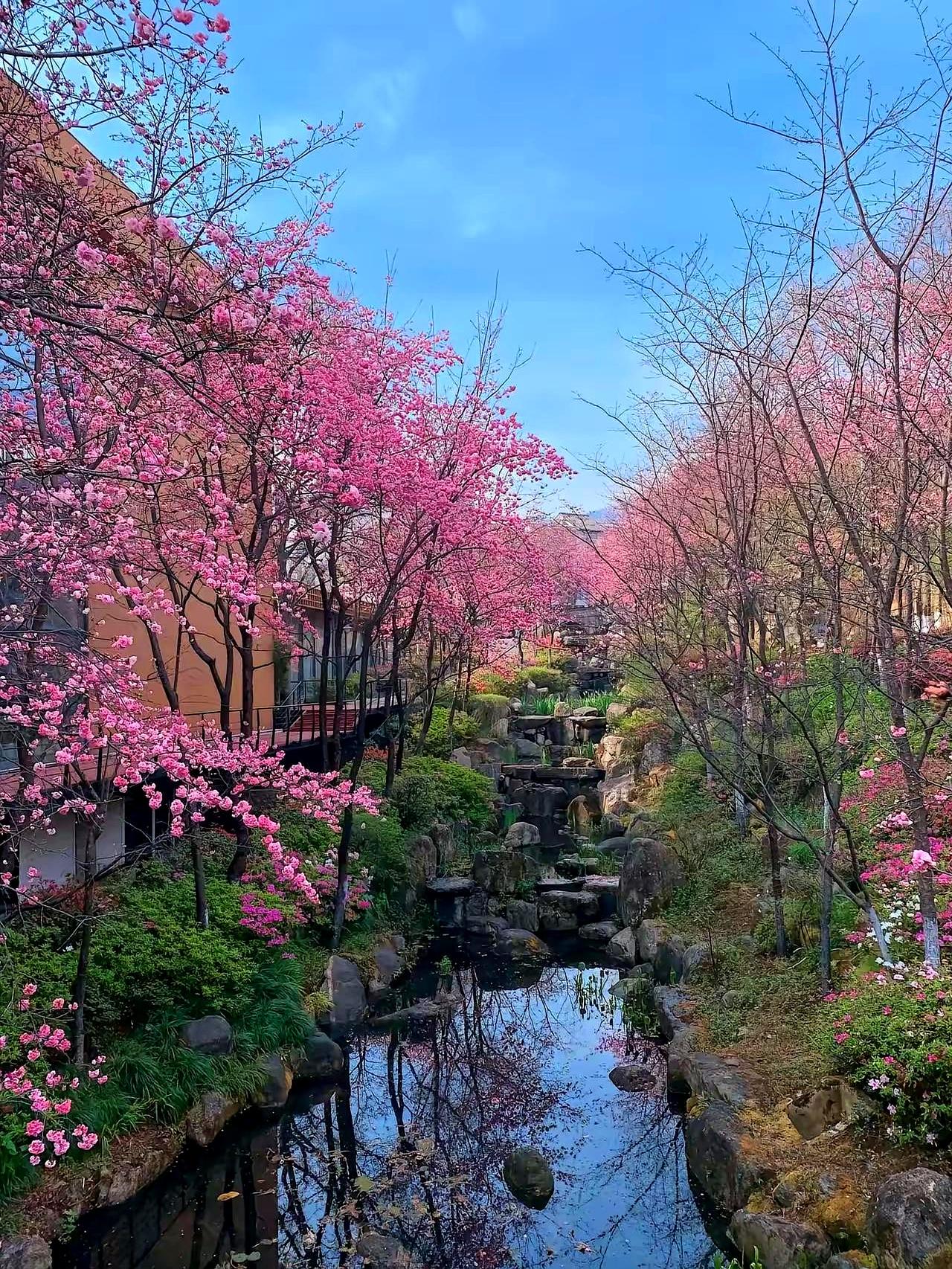 姐妹们，你们知道对付不老实男人的最狠一招是什么吗？
说白了就是“谈钱”！
一位资