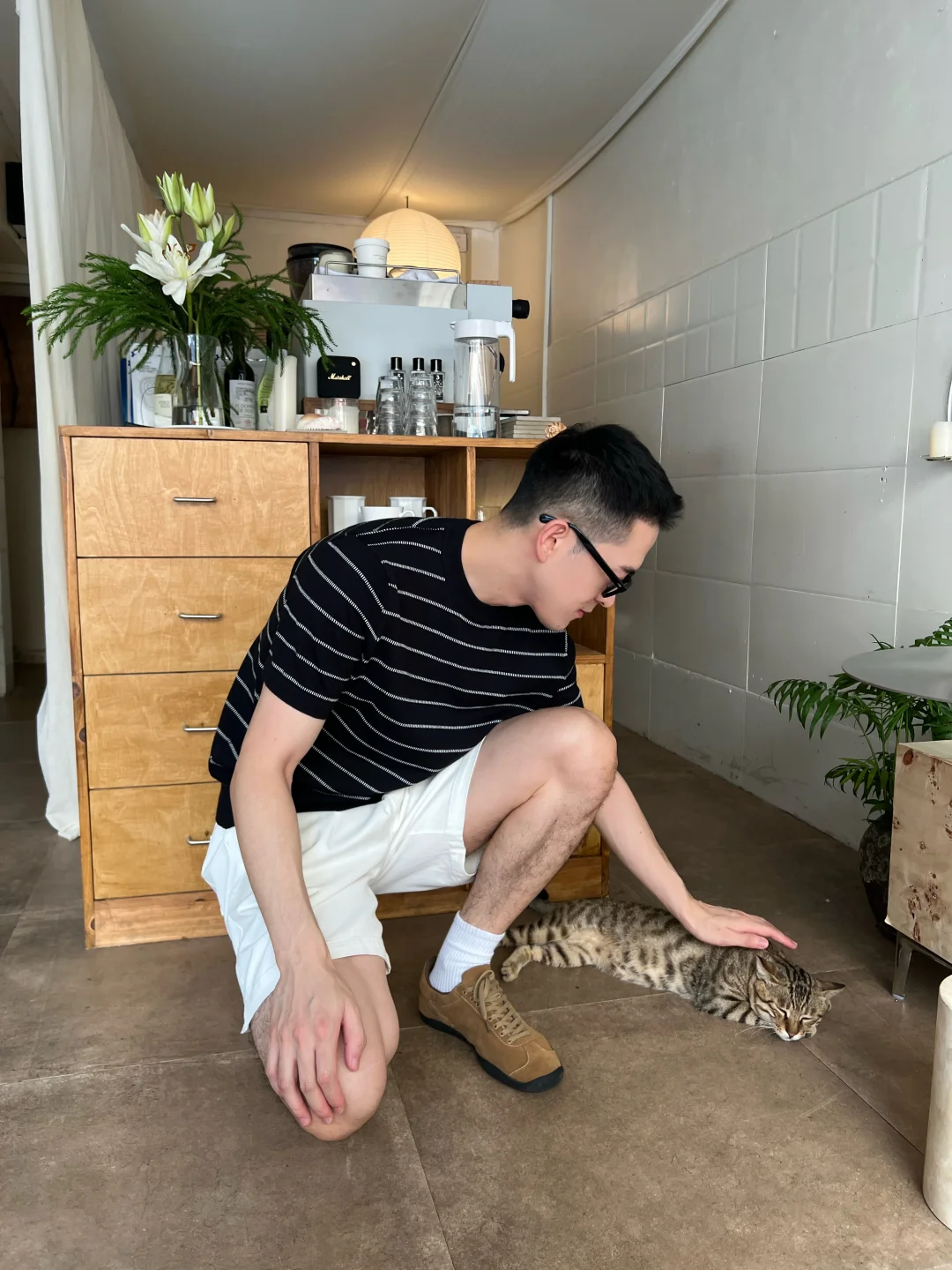 呆萌猫咪不是我