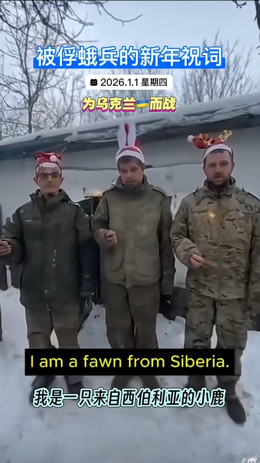 悲催的西伯利亚小鹿 