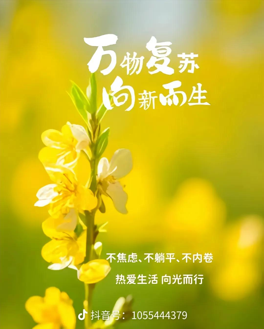 今年春天最想实现的心愿春天是万物复苏的季节，也是播种希望的时节。今年春天，我最想