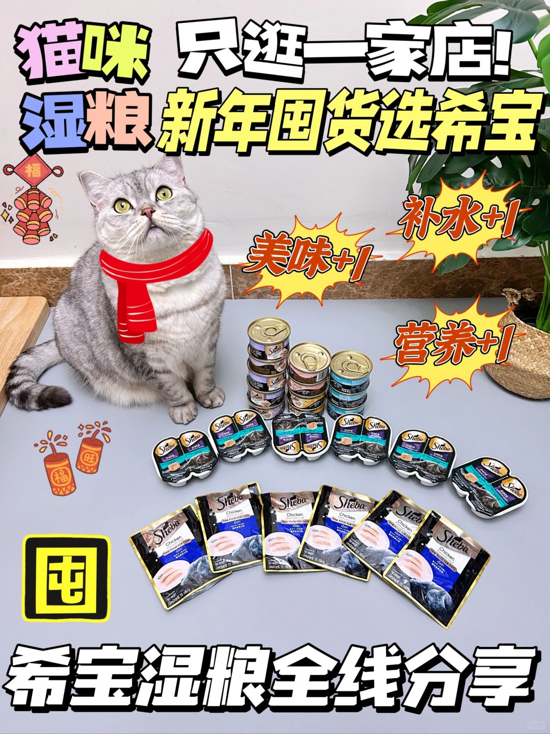 猫咪湿粮只逛一家店｜新年囤货就选希宝