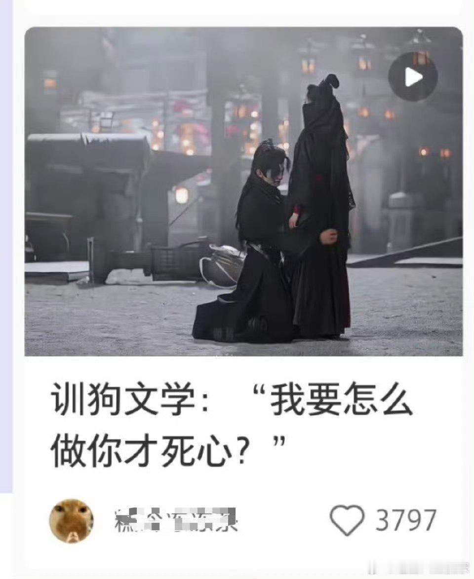 刘诗诗《一念关山》辛光cp，2025年了还这么火？背德，禁忌之恋，病娇，忠犬文学
