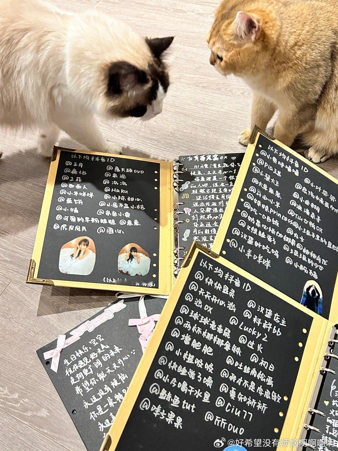 分享图片 ​​​