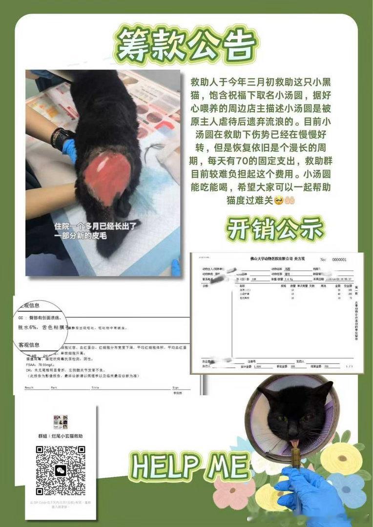 【流浪猫救助】小猫叫汤圆，是缟纻在小红书刷到，发现离学校不远所以就直接去救了。据