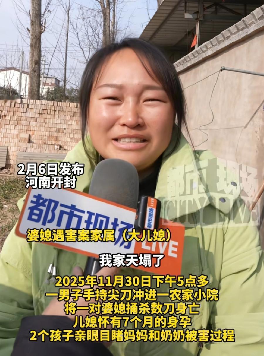 一句评论引发的血案！开封婆媳二人家中被害，嫌犯马某某是本村人，被害二儿媳初中同学