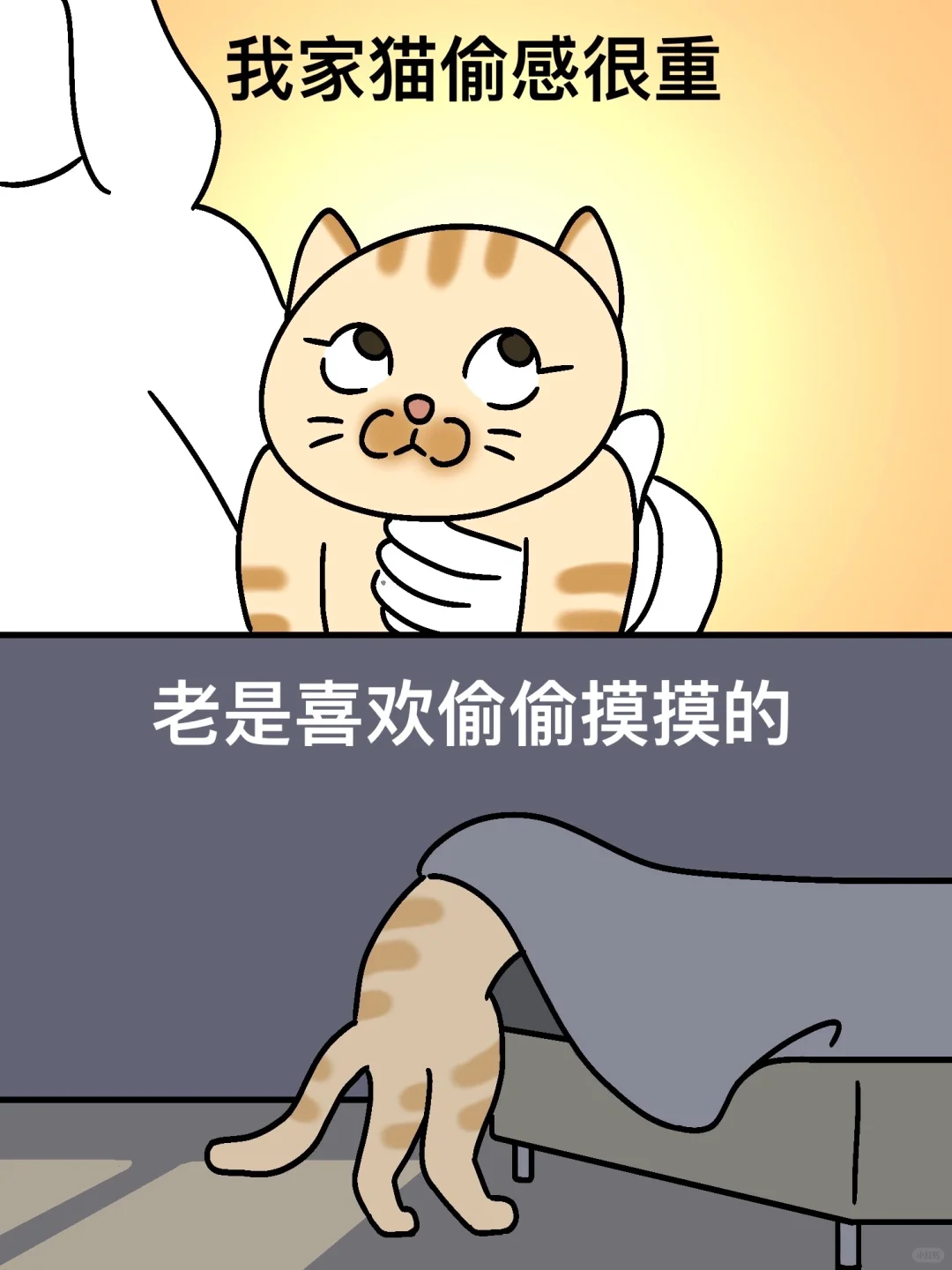 偷感很重的猫猫