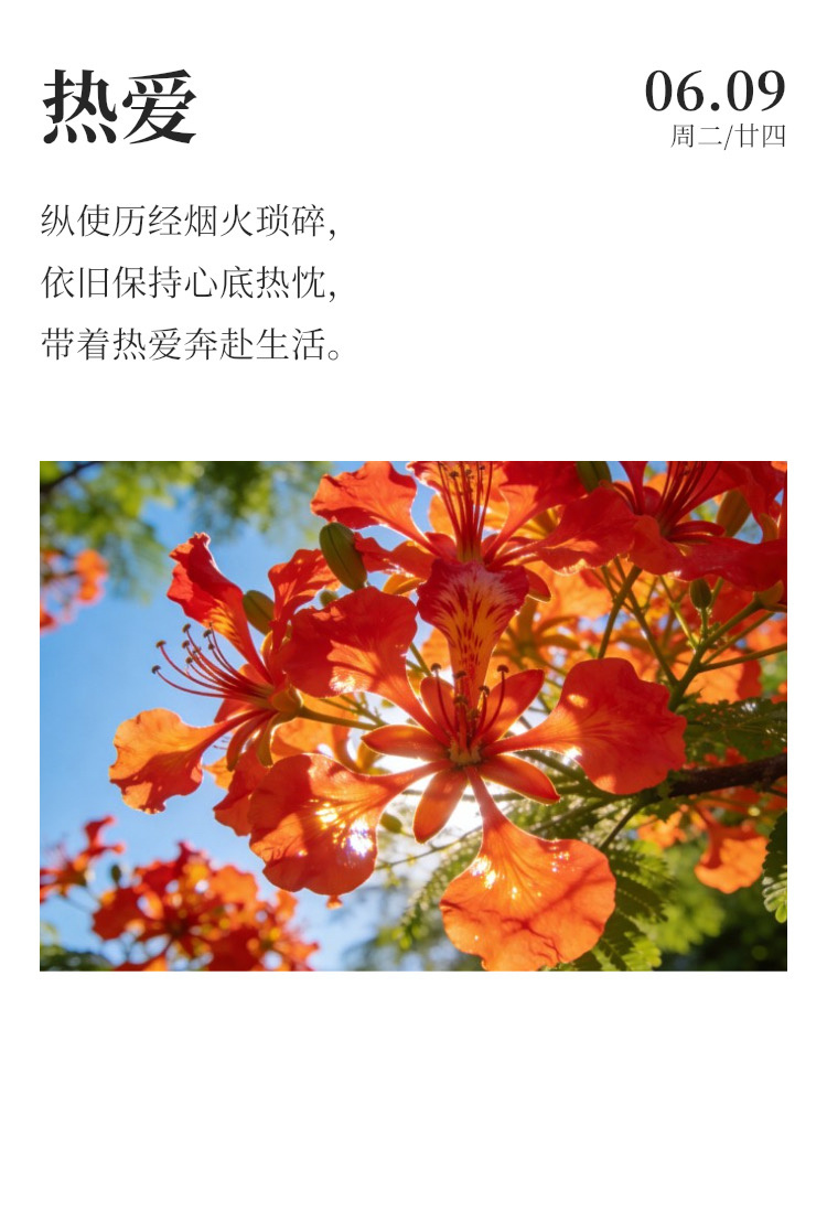 早安  ⛈️每日早起打卡 不必强迫自己时刻紧绷，高效远比时长重要。沉下心投入学习