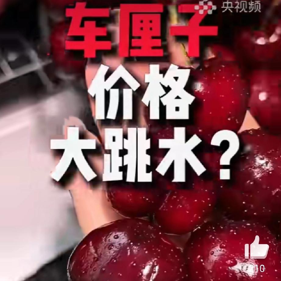 别再急着买！车厘子的“捡漏攻略”藏在月份里
 
谁能拒绝一颗颗饱满爆汁、红得发亮