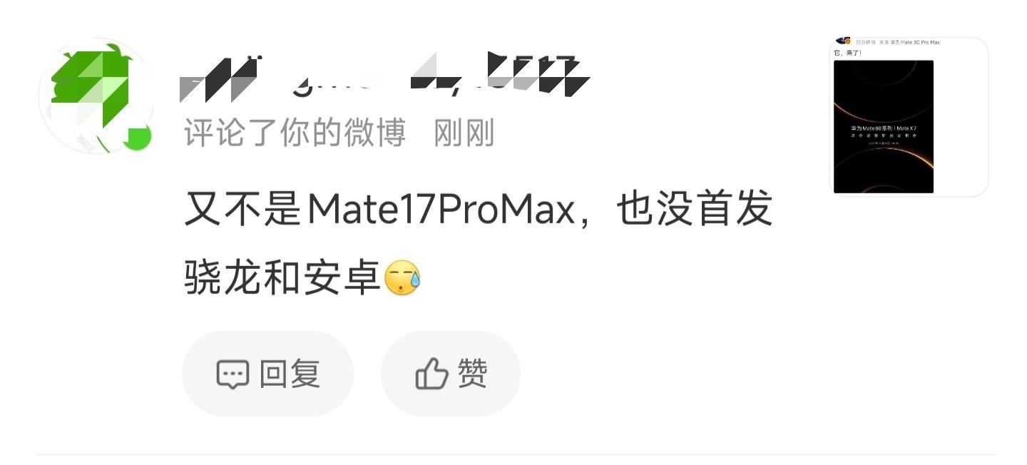 都是追随苹果，还走出优越感了？Mate都出到80了，难道让它折回去叫17吗