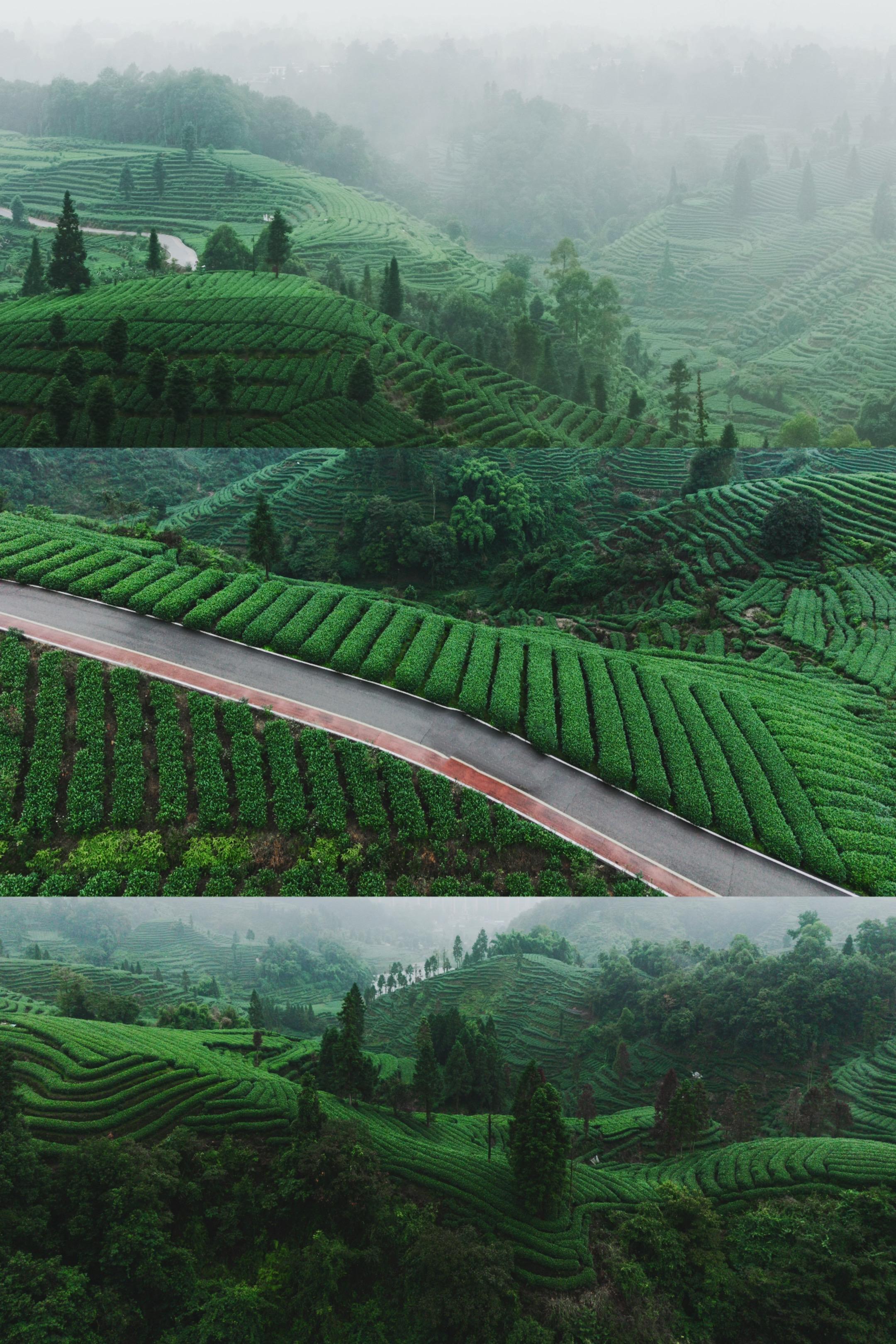 《国家地理》推荐秘境❗️隐藏在成都周边2小时。游玩路线推荐 国家地理推...