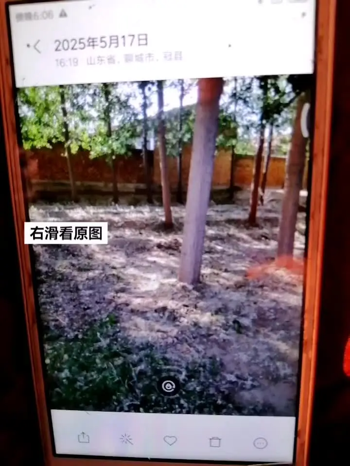 如此权威。