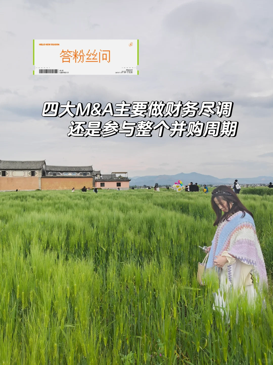 【答疑】四大M&A主做财务尽调还是并购全程