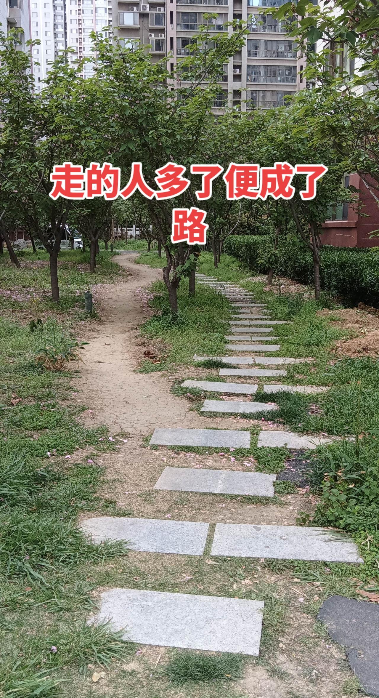 世间本没有路，可走的人多了就成了路。
