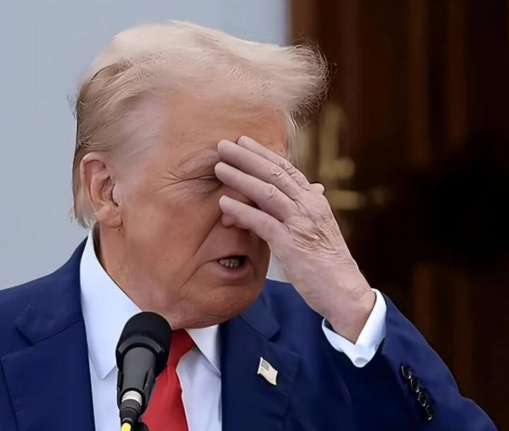 小布什在任时，解决了萨达姆，但来不及解决塔利班。奥巴马在任时，解决了卡扎菲，但仍