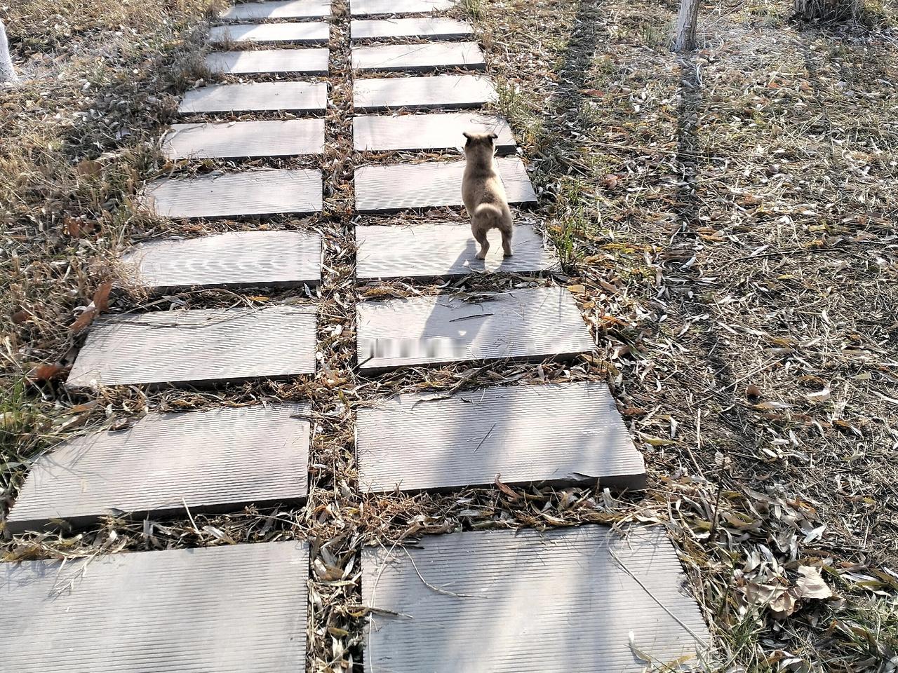 村里好几个20多岁的小伙，对象谈了好几年，至今没有结婚，家里有房没楼，不管啥原因