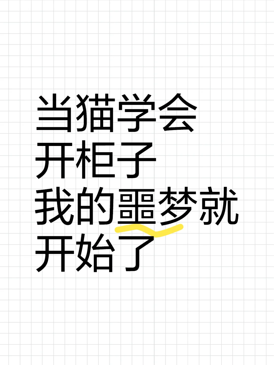 当猫学会开柜子 我的噩梦就开始了