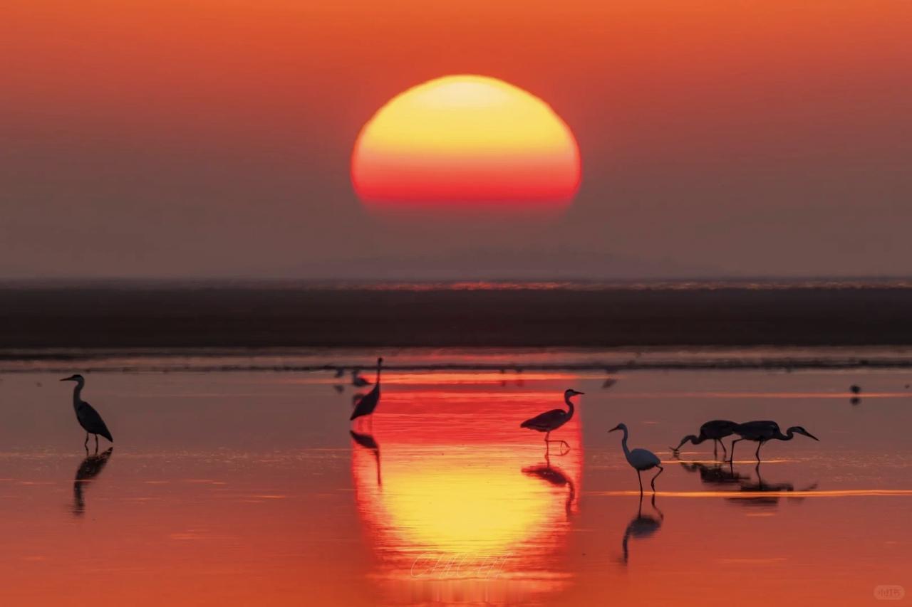 云南推行身份证替代老年优待证这事儿，简直是便民界的一股清流。以往老年人出门得带着