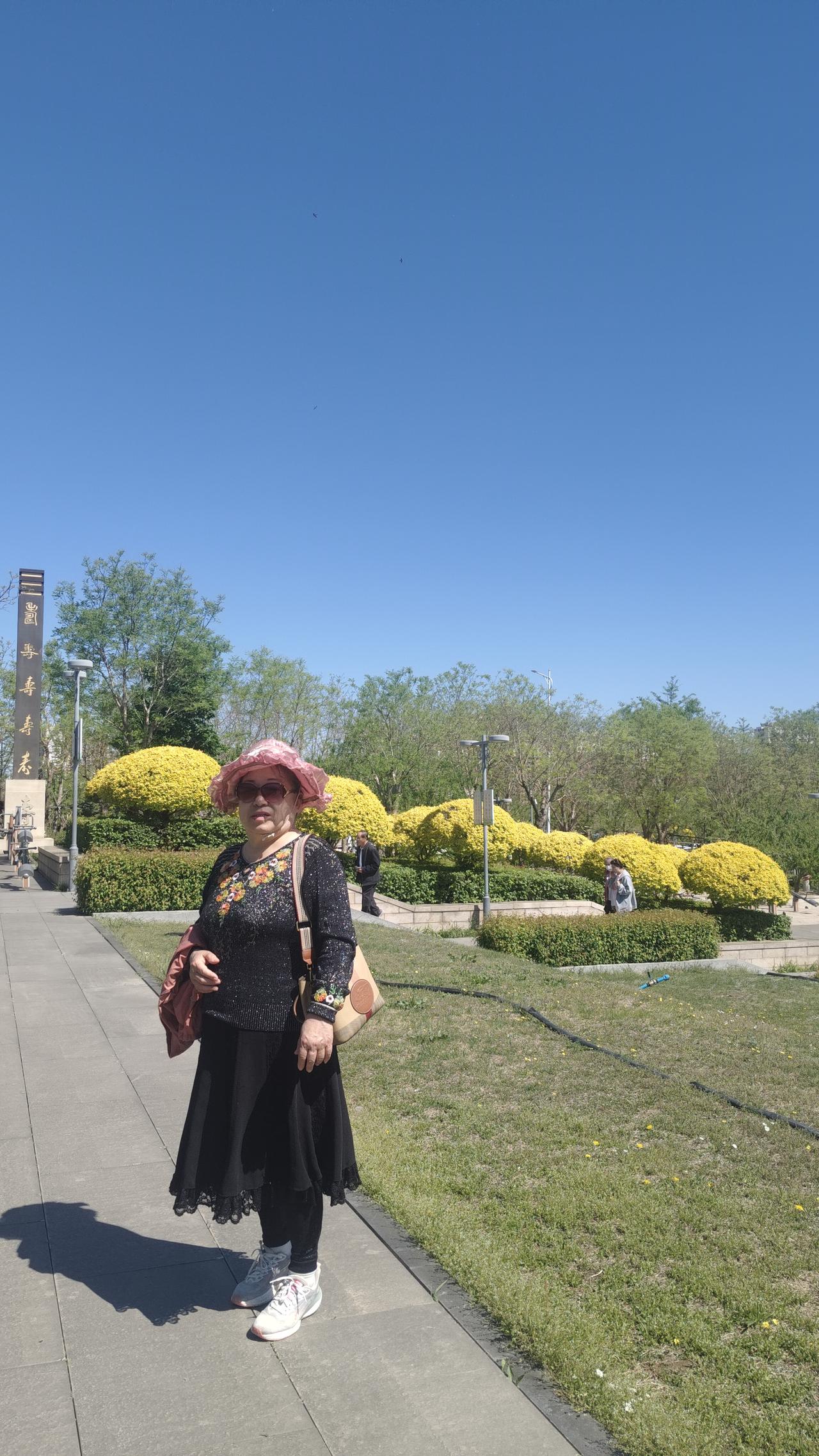 发一张你相册最近拍的花初夏的南山公园，美景如画，我游玩一圈，感觉这气息，这美景良