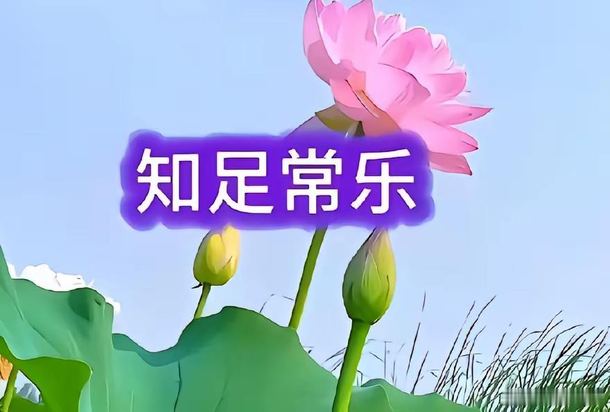 炒股十年，我悟了不少道理。刚入市时，我盲目跟风、追涨杀跌，熬夜学指标、看K线、听