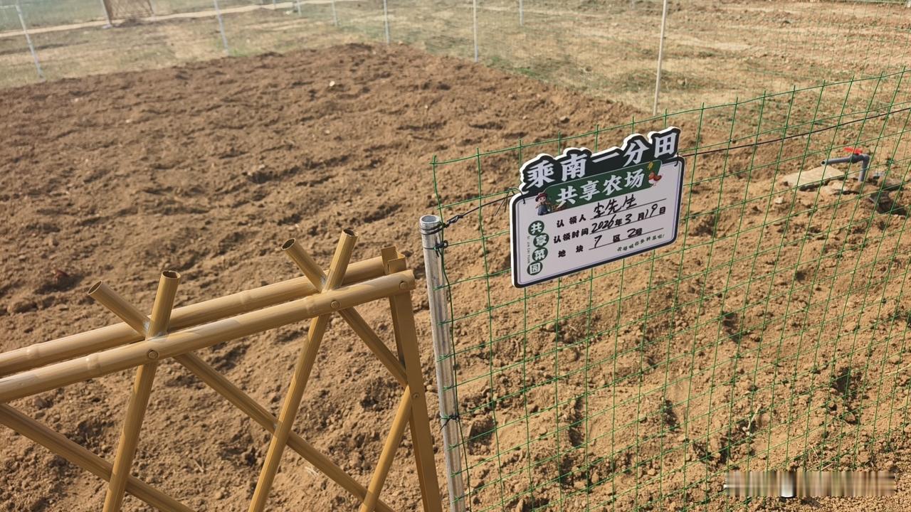 春天来了，一起种菜吧！

这几天，邻居们朋友们交流共享菜地的信息，3·15以后，