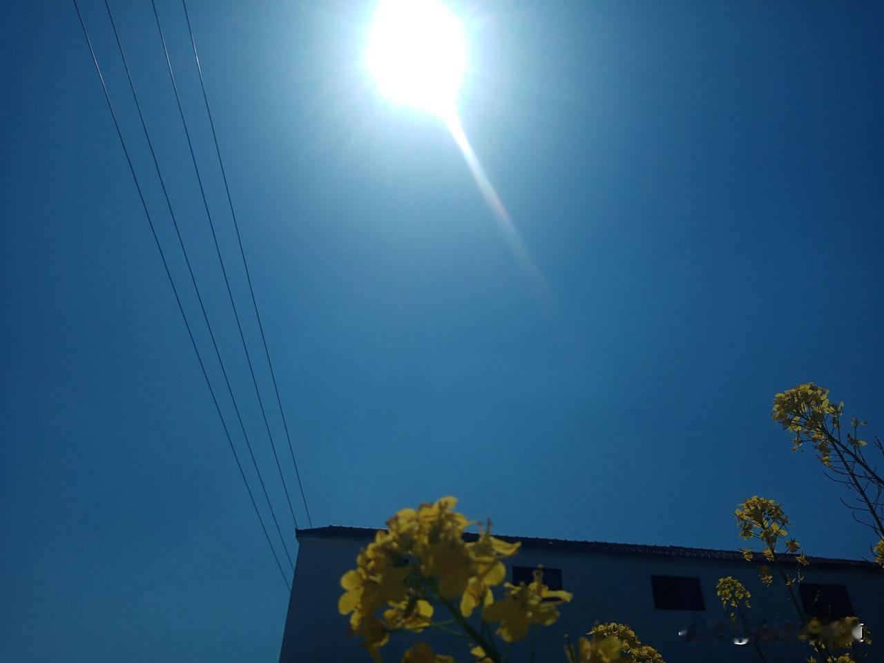 今日丙午马年二月十九
清明的第二天
仍然是一个万里无云的晴朗天气
老话说“二月十