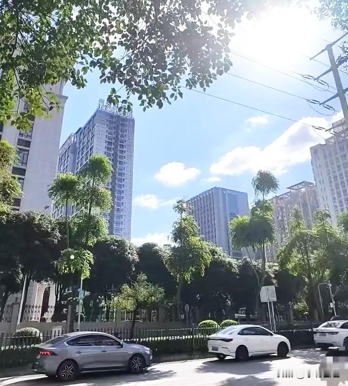 紧急通知一声，
大家做好准备！
2天过后，7月15日9点56分正式进入头伏，大家
