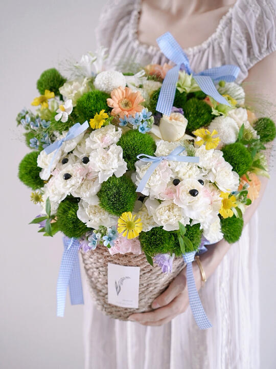 郑州 ｜ 来看看宠物店开业送什么花