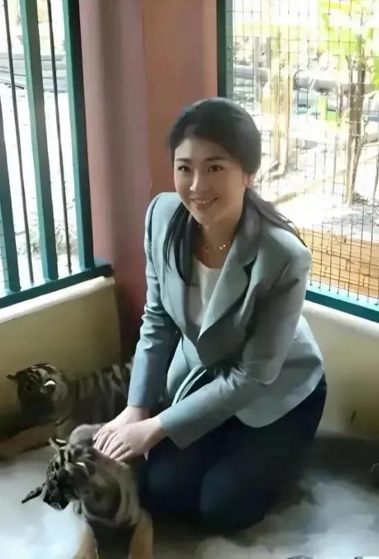 奇闻异事：英拉的宠物我刚开始以为是小猫，仔细看原来是小老虎啊，厉害了！