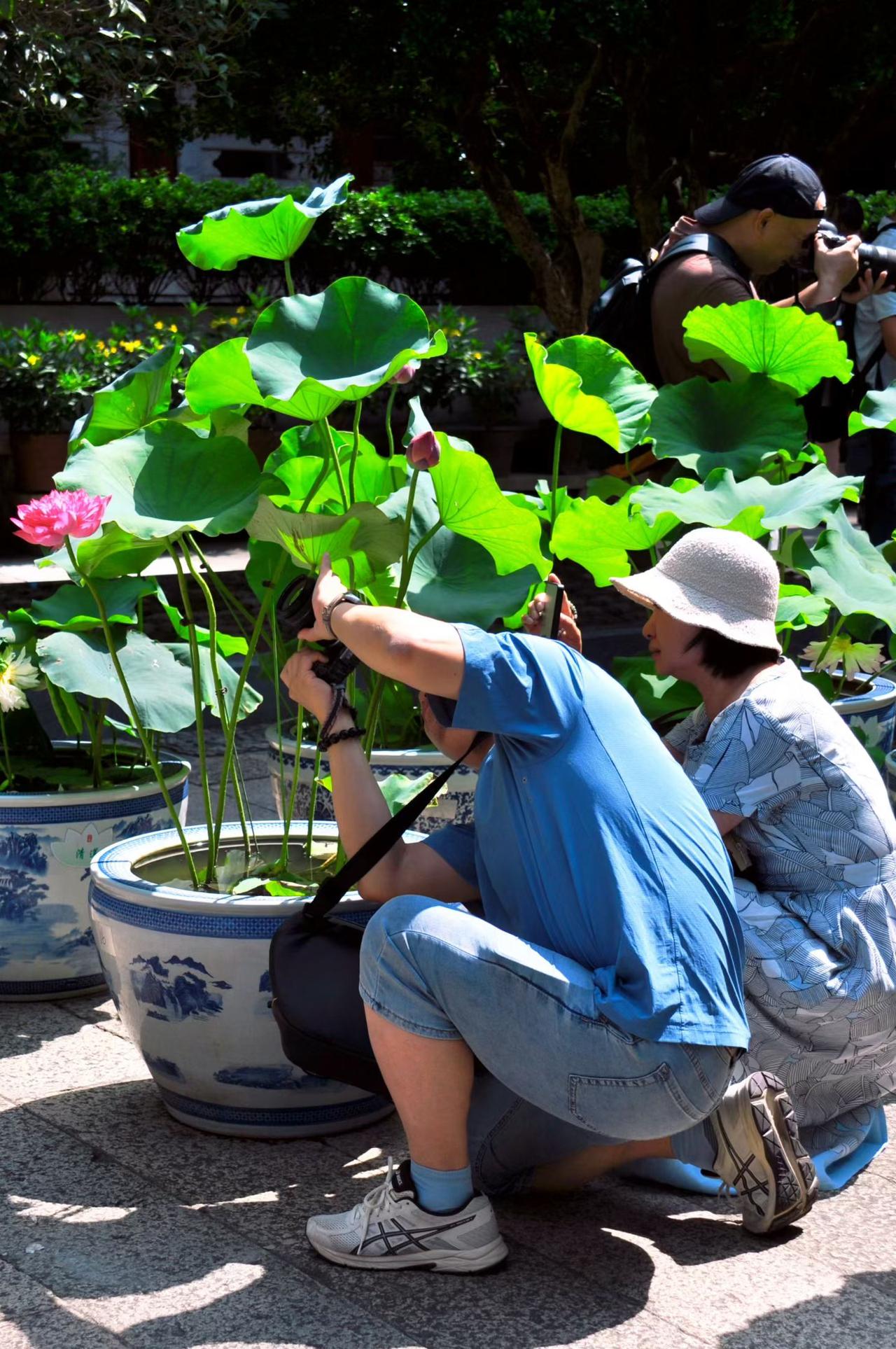 广州街道景色 镜头下的广州 看看你拍的广州 城市观察员 城市.街拍 广州城市景观