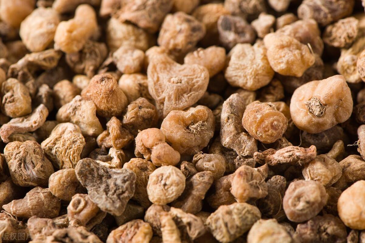 乡下的老中医说：脂肪瘤本质是中焦的脾破了，痰流到了皮肤上！后来我才明白，如今的白