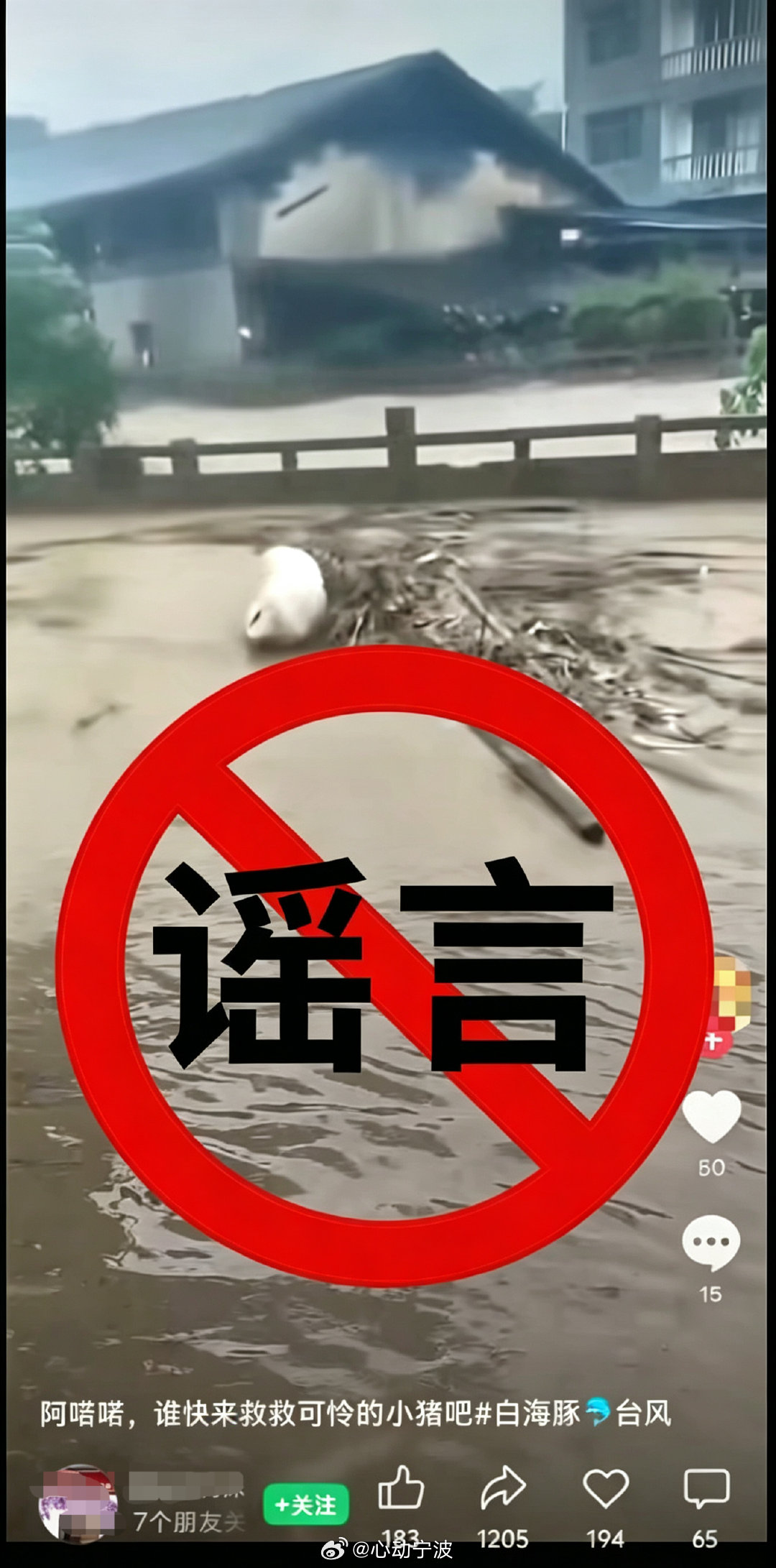 网传宁波象山突发大水猪被冲走是谣言 近日，受台风“白海豚”影响，网络平台出现涉象