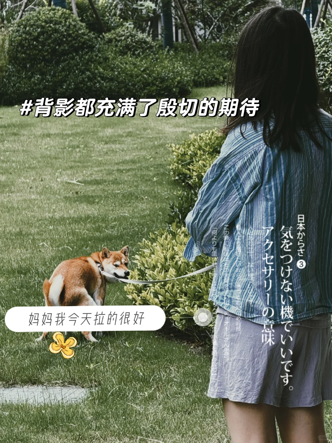 🙋🏻‍♀️我判断小狗吃的好不好的唯一标准：💩