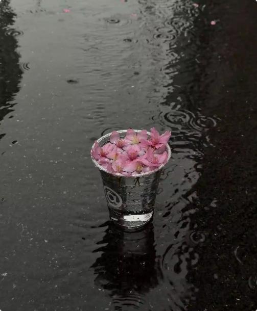 一段通透的话：“逼猪上树，再抽也白搭；猴子上树，天生就会，这不是不努力，是没找对