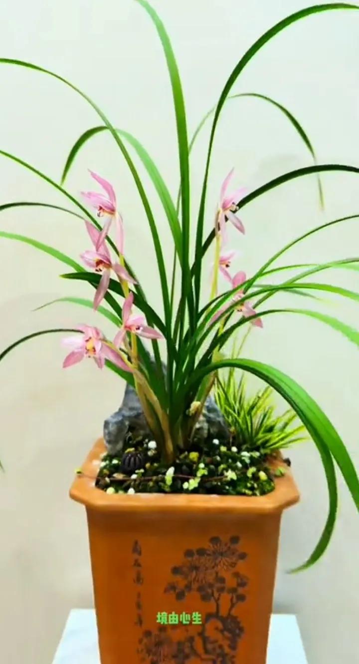 月下爱恨多